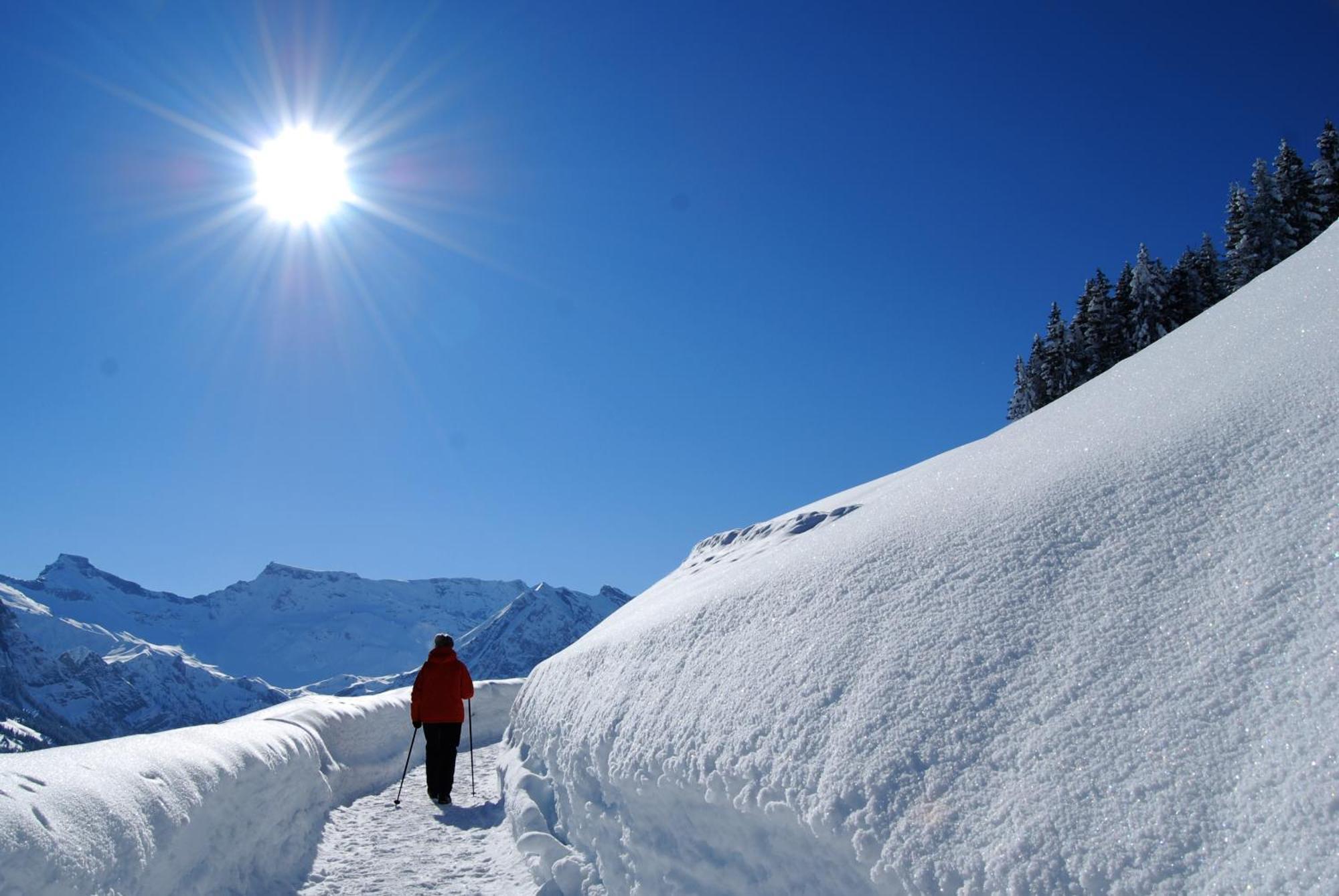 Bellevue Parkhotel & Spa - Relais & Chateaux Adelboden Ngoại thất bức ảnh